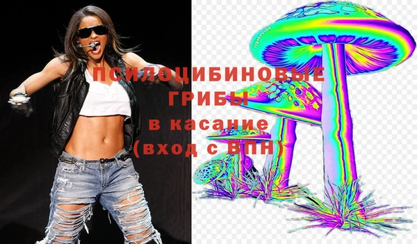 крисы Алзамай