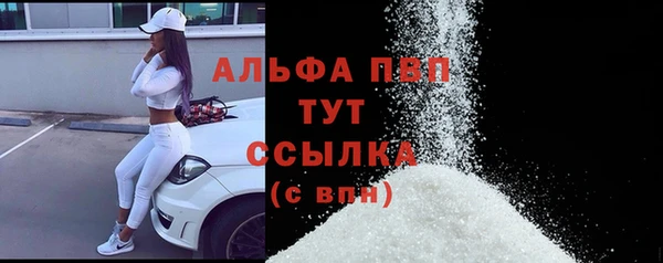 крисы Алзамай