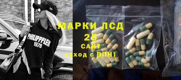 крисы Алзамай