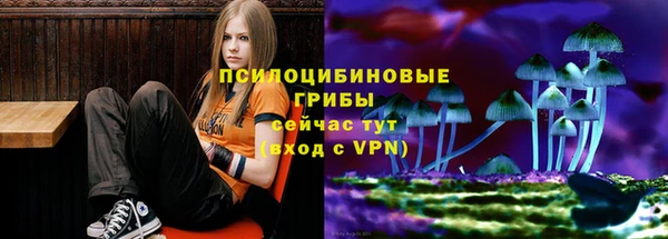 крисы Алзамай